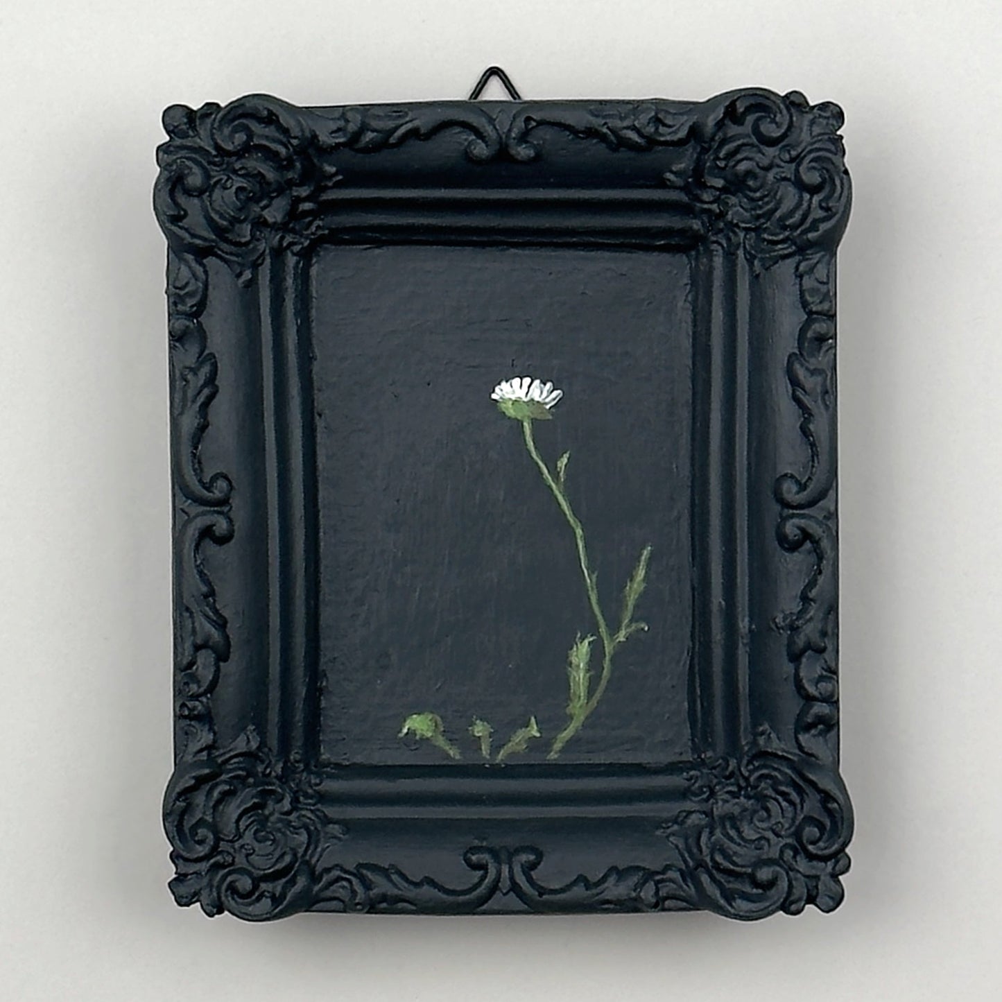 "DAISY" SUNDAY MORNING SERIES 6/6