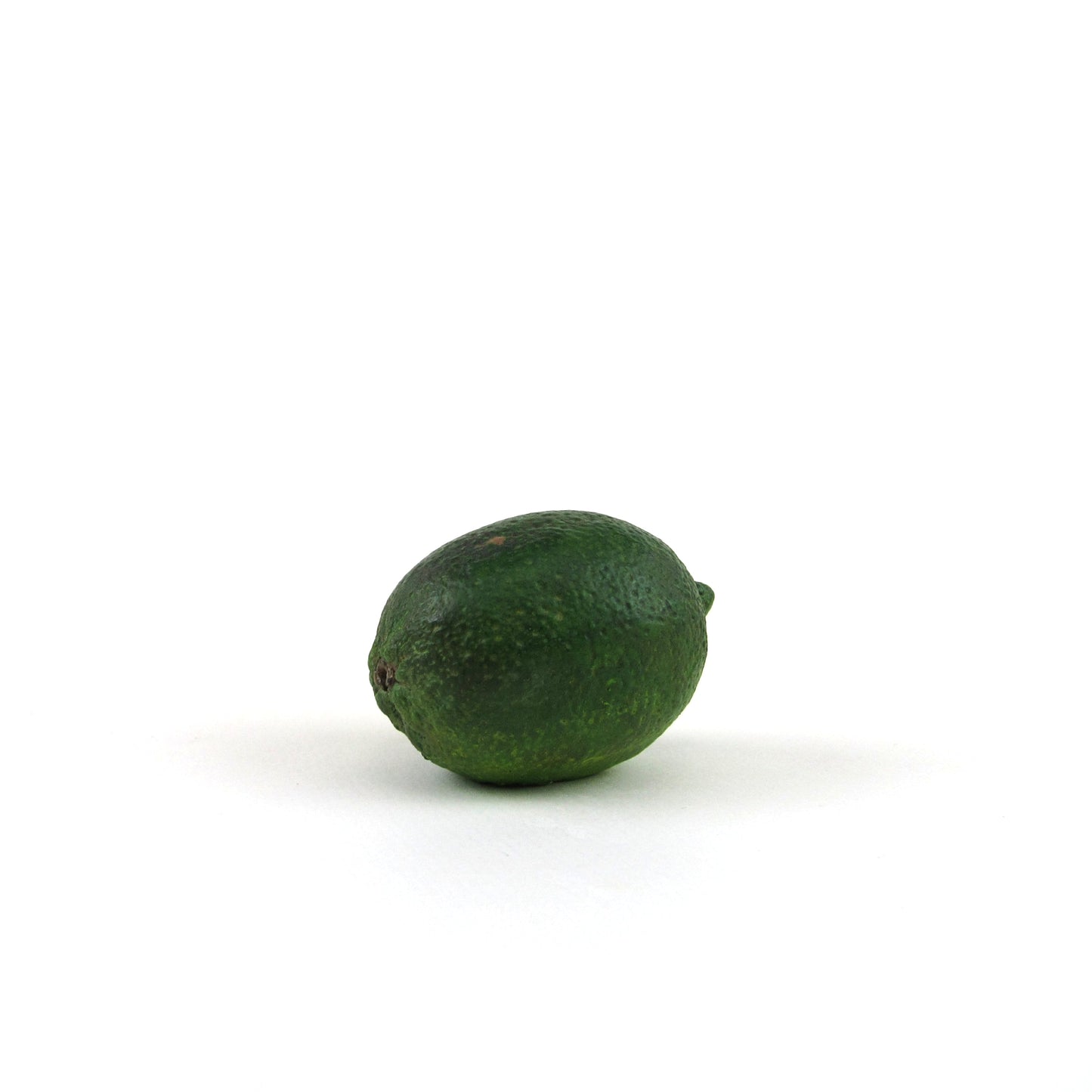 LIMETTA - PAINTED NATURAL