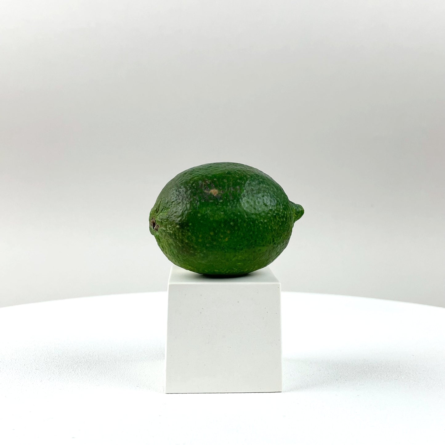LIMETTA - PAINTED NATURAL