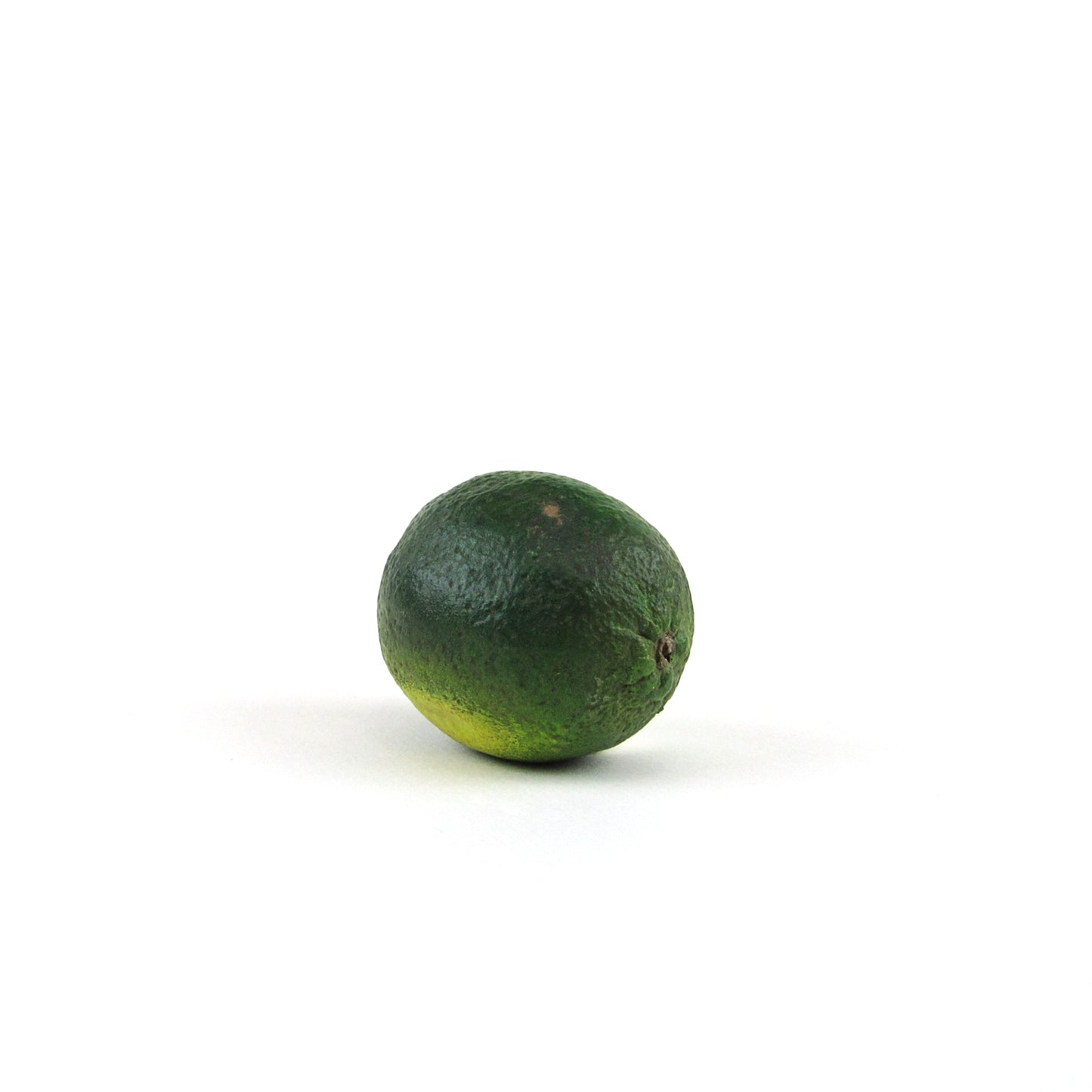 LIMETTA - PAINTED NATURAL