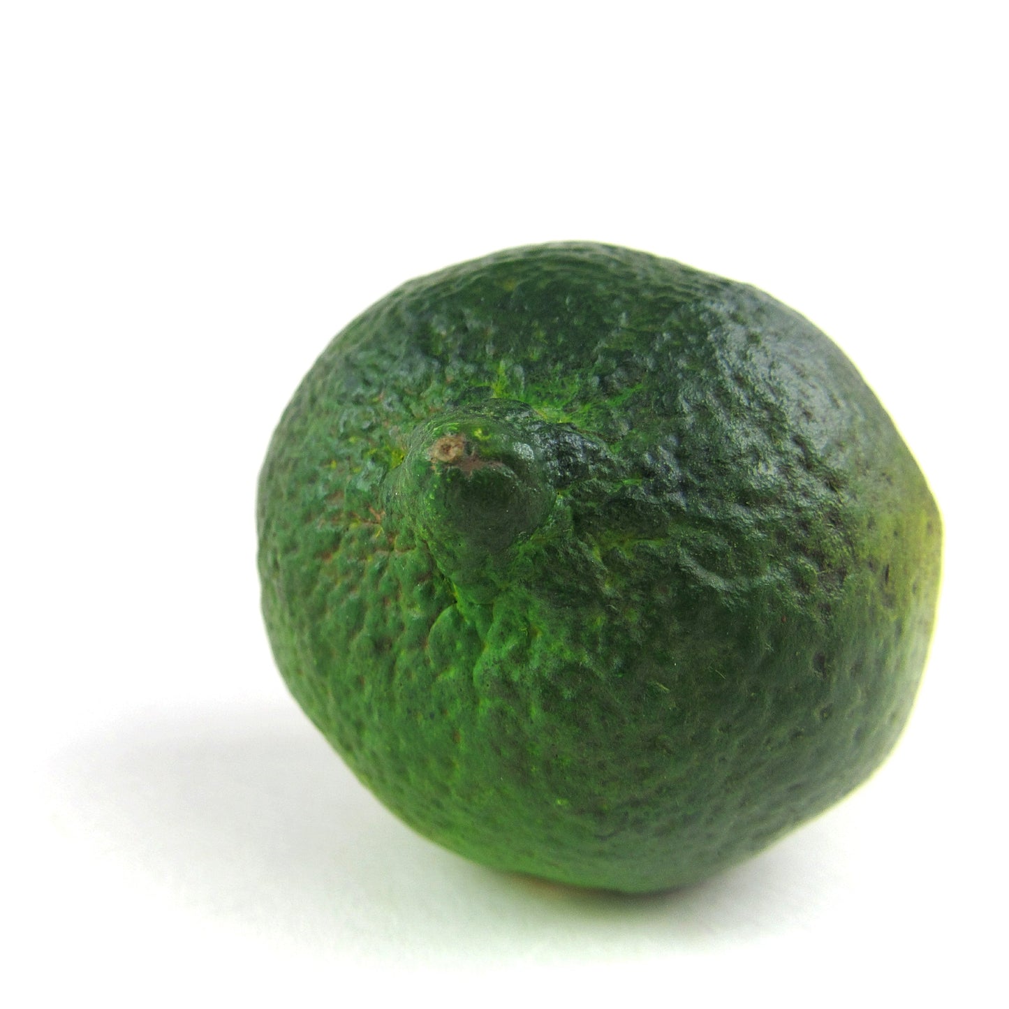 LIMETTA - PAINTED NATURAL