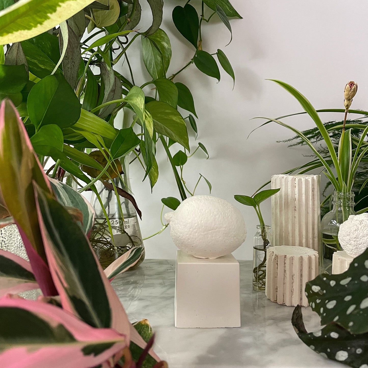 LIMETTA - SCULPTURE WHITE