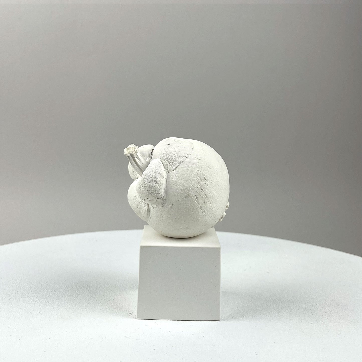 MANGOSTANO - SCULPTURE WHITE