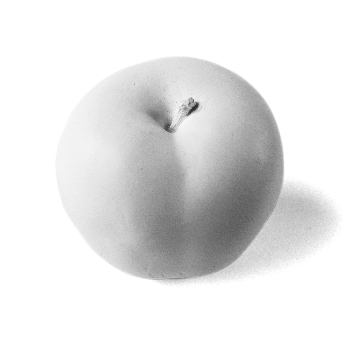 PRUGNA NERA - SCULPTURE WHITE