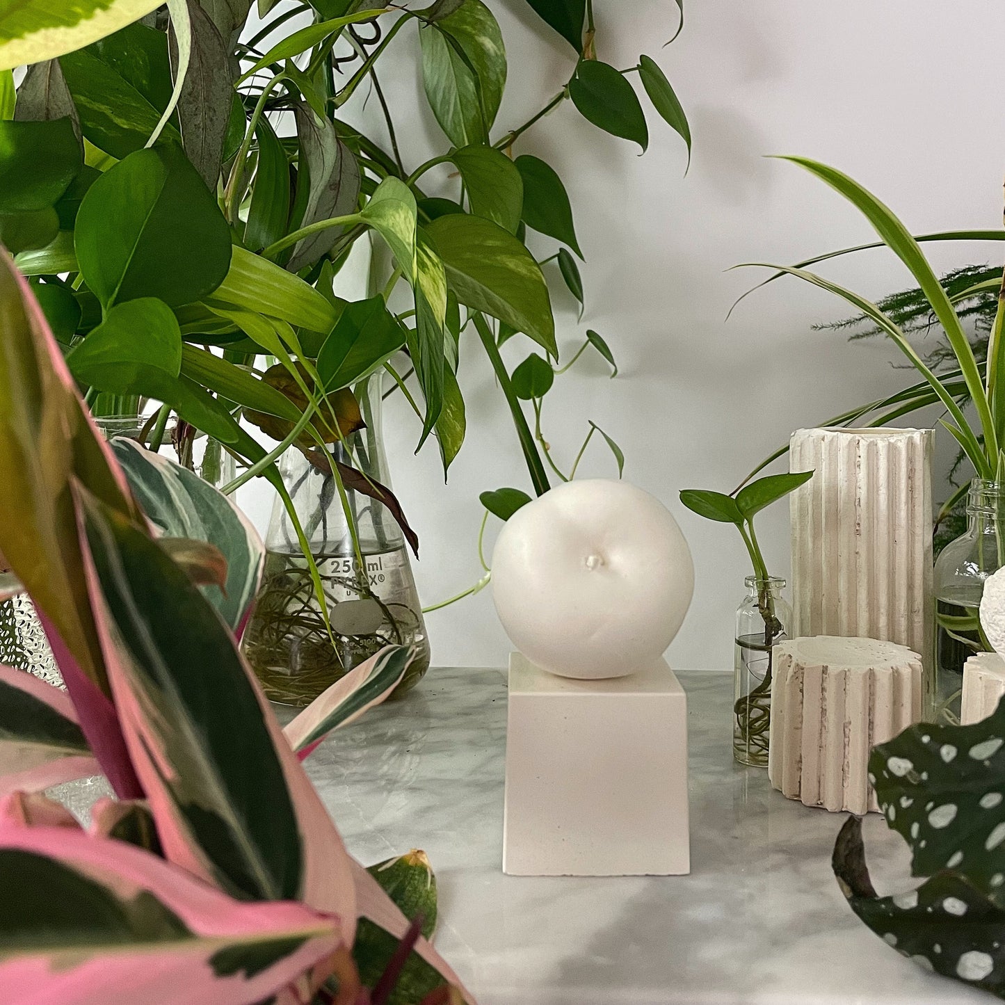 PRUGNA NERA - SCULPTURE WHITE