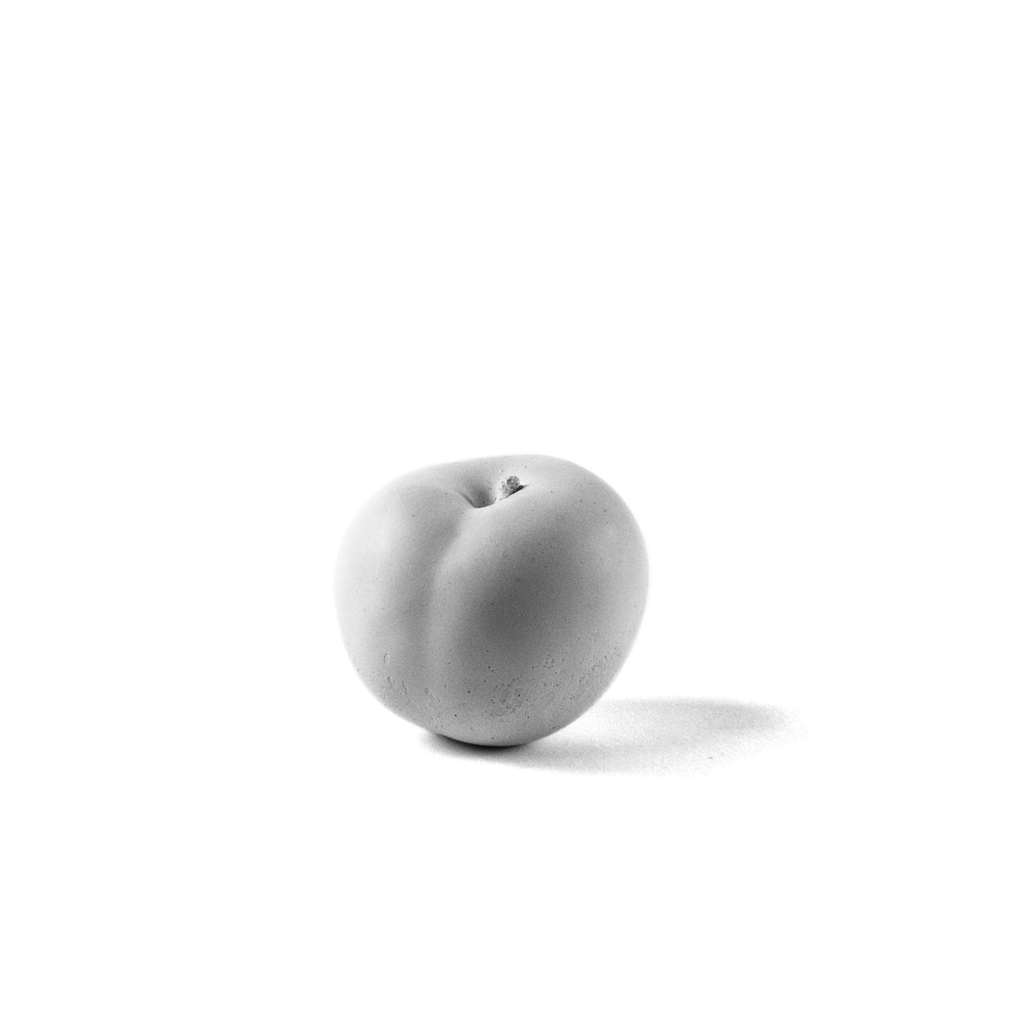 PRUGNA NERA - SCULPTURE WHITE