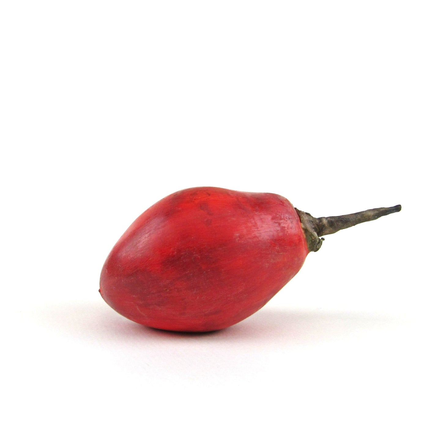 TAMARILLO - PAINTED NATURAL