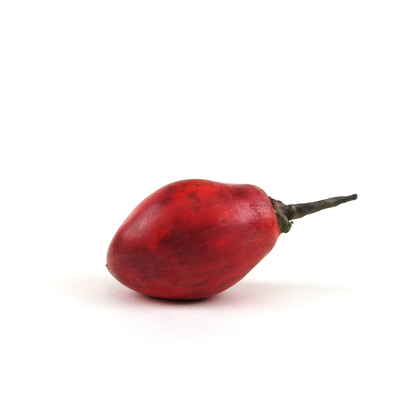 TAMARILLO - PAINTED NATURAL