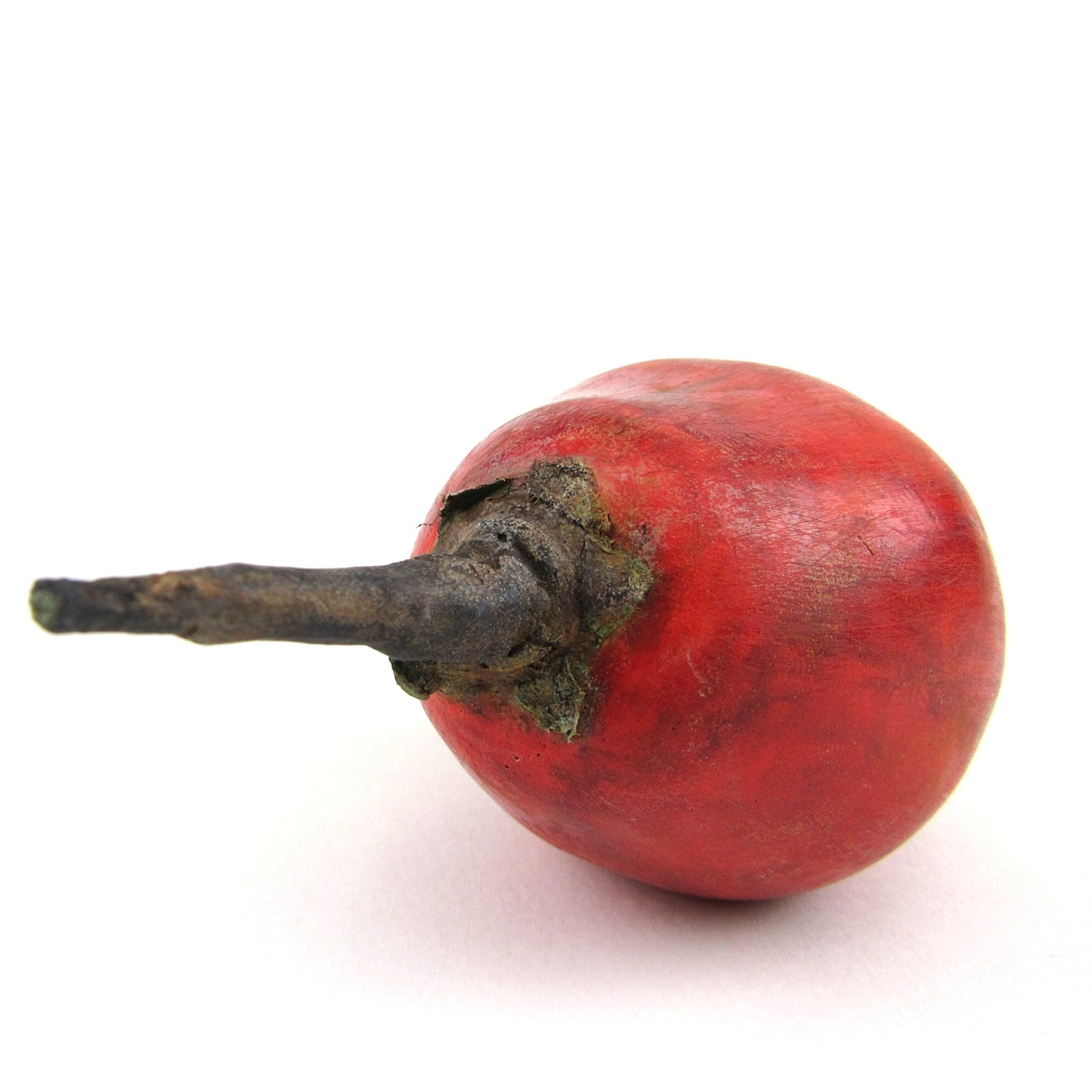 TAMARILLO - PAINTED NATURAL