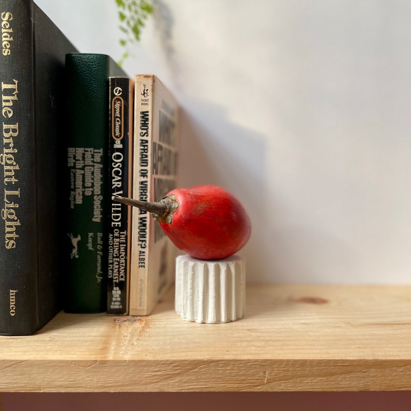 TAMARILLO - PAINTED NATURAL