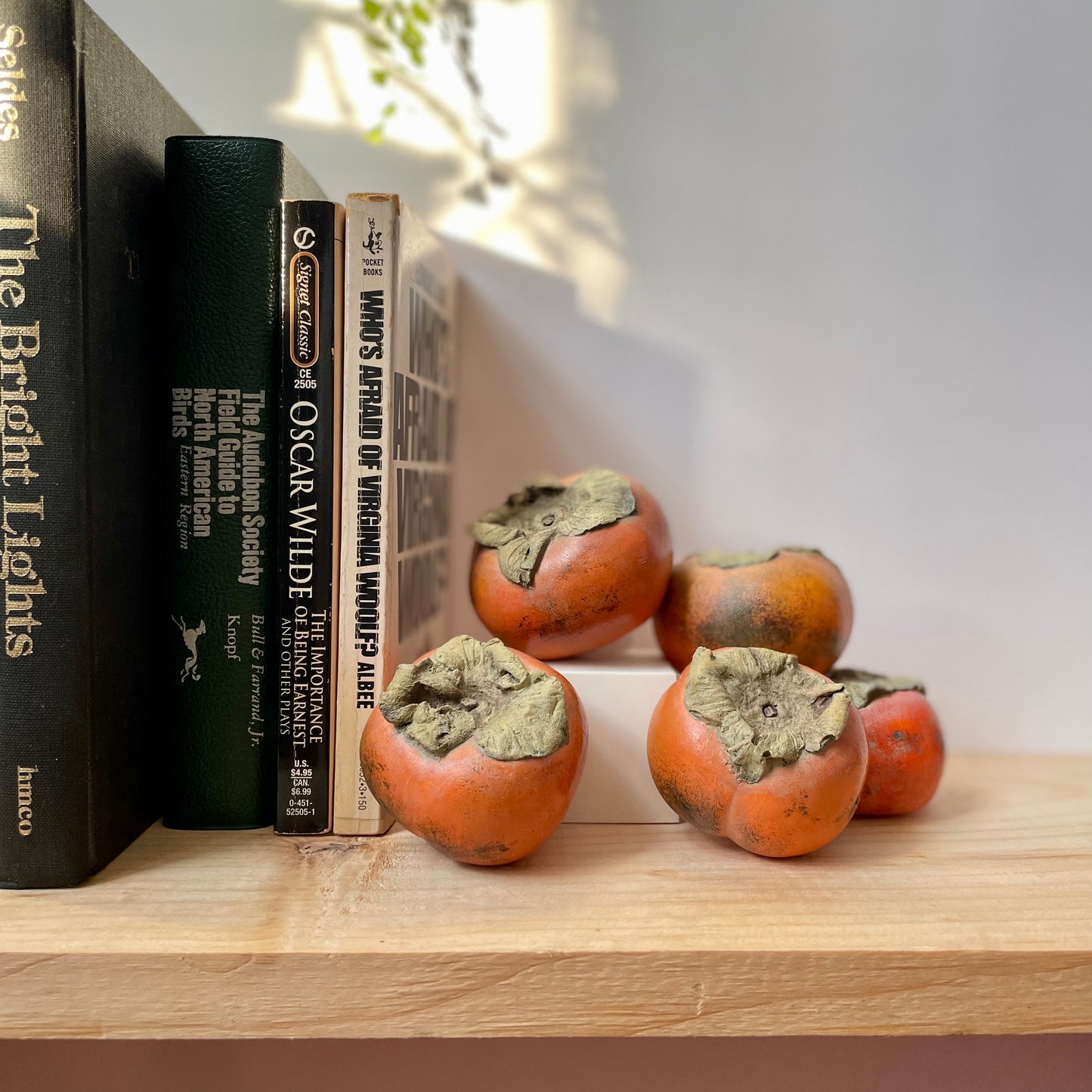 ALL 5 PERSIMMONS / PAINTED NATURAL