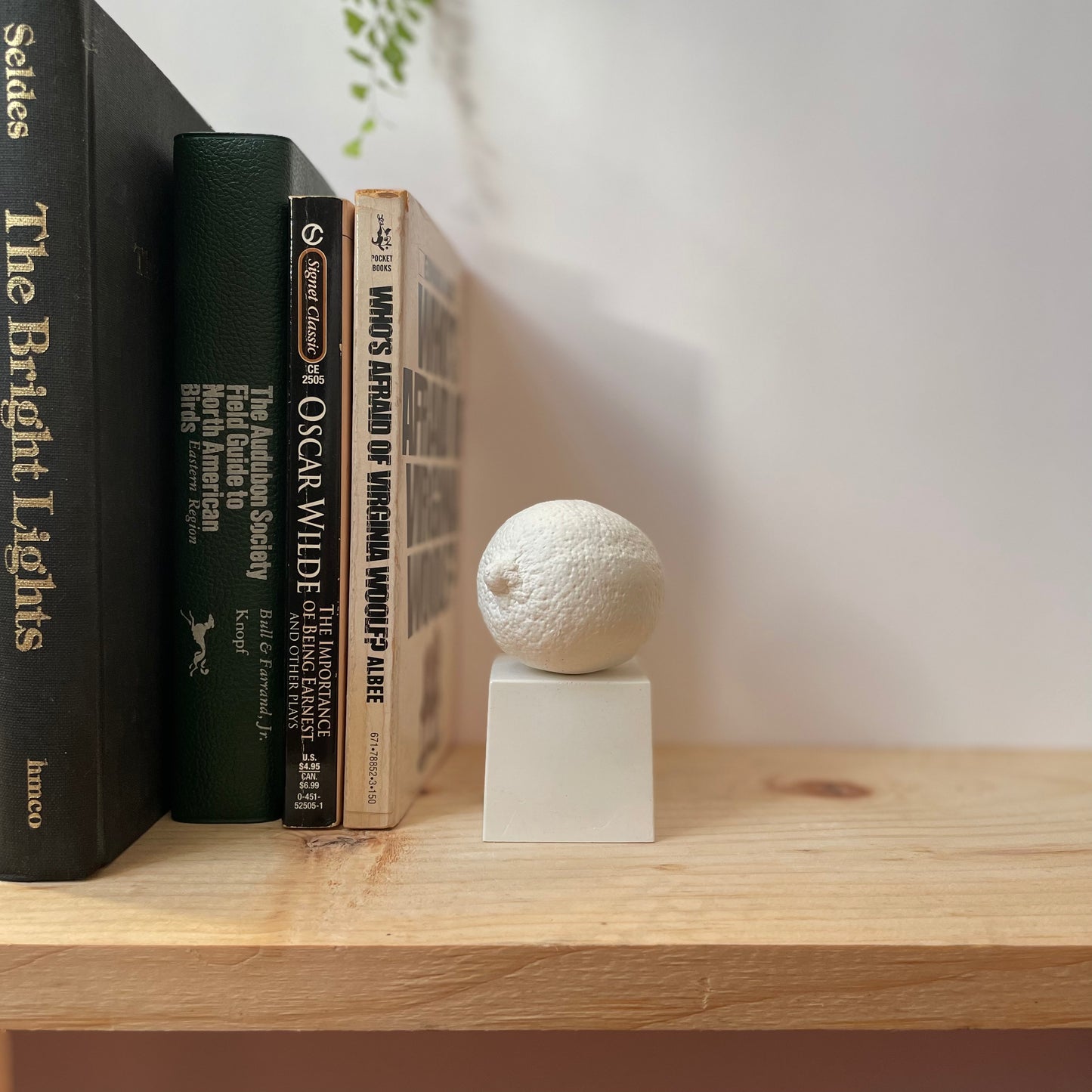 LIMETTA - SCULPTURE WHITE
