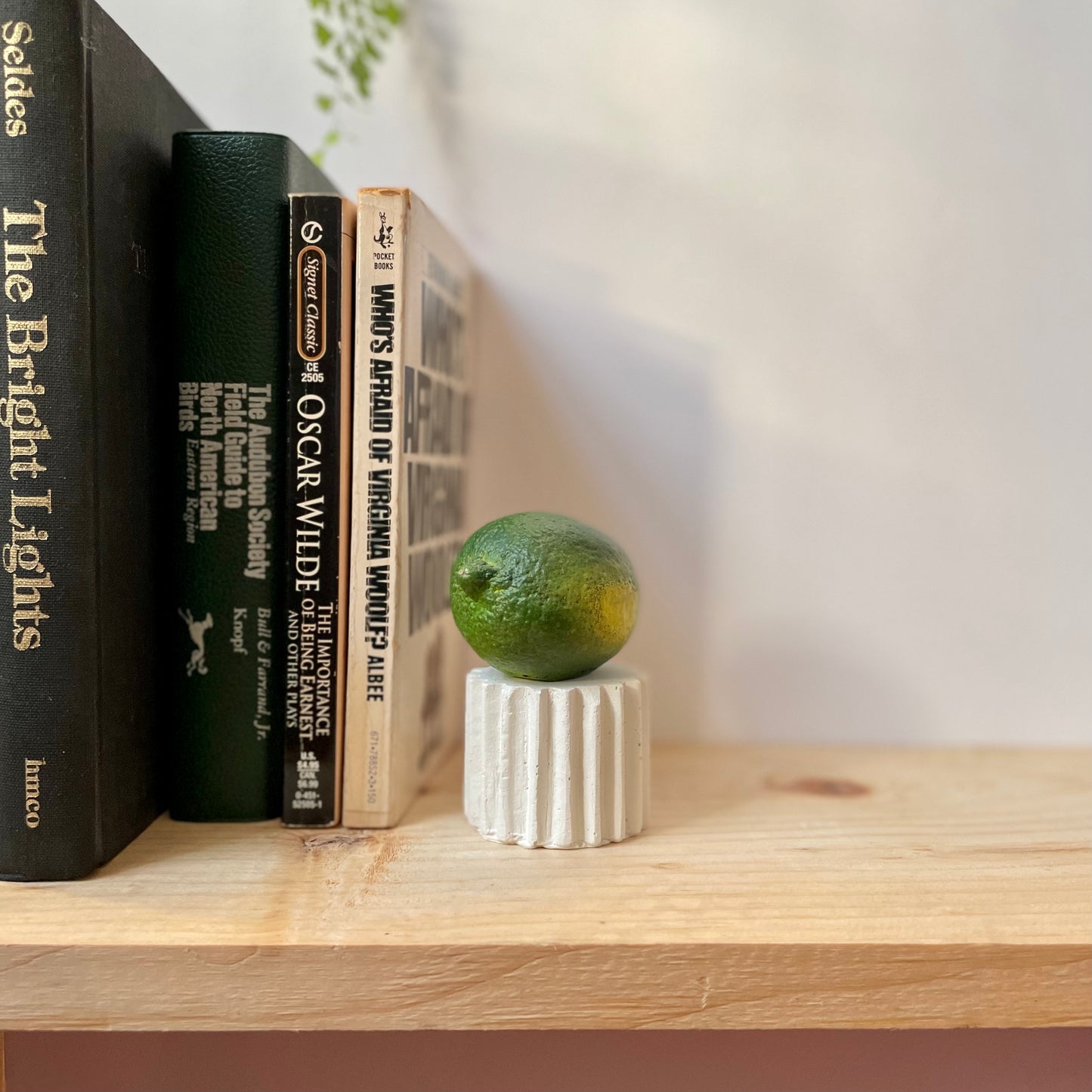 LIMETTA - PAINTED NATURAL