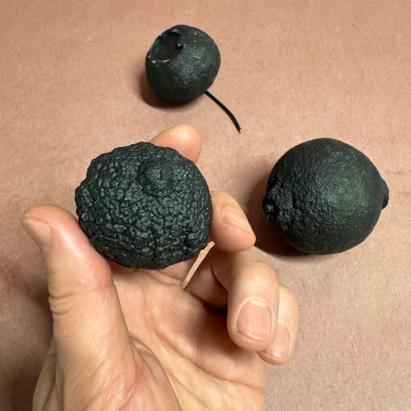 BLACK CITRUS TRIO / LIMITED ONE SET