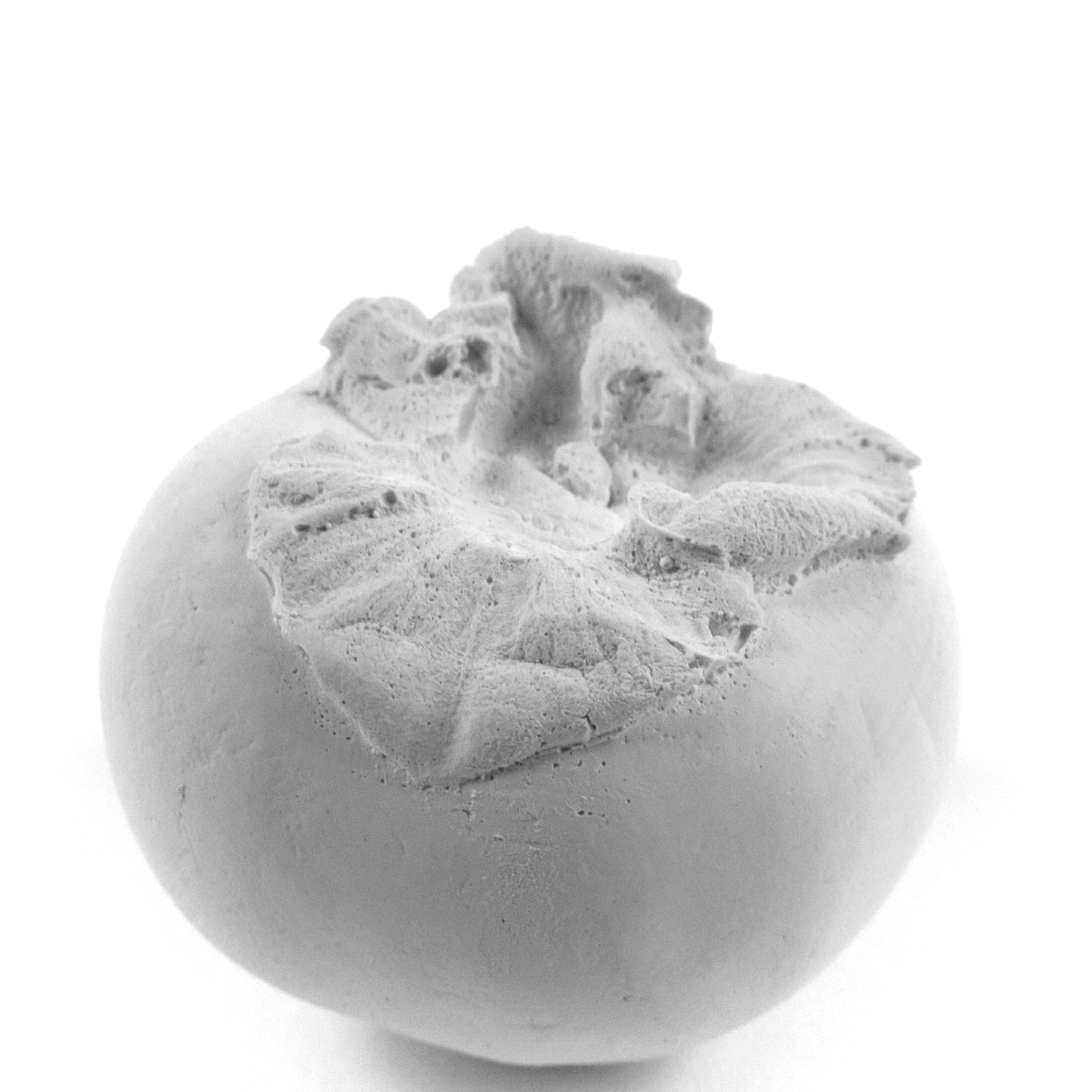 Persimmon made of plaster and fake fruit is all white for home art or wedding favors