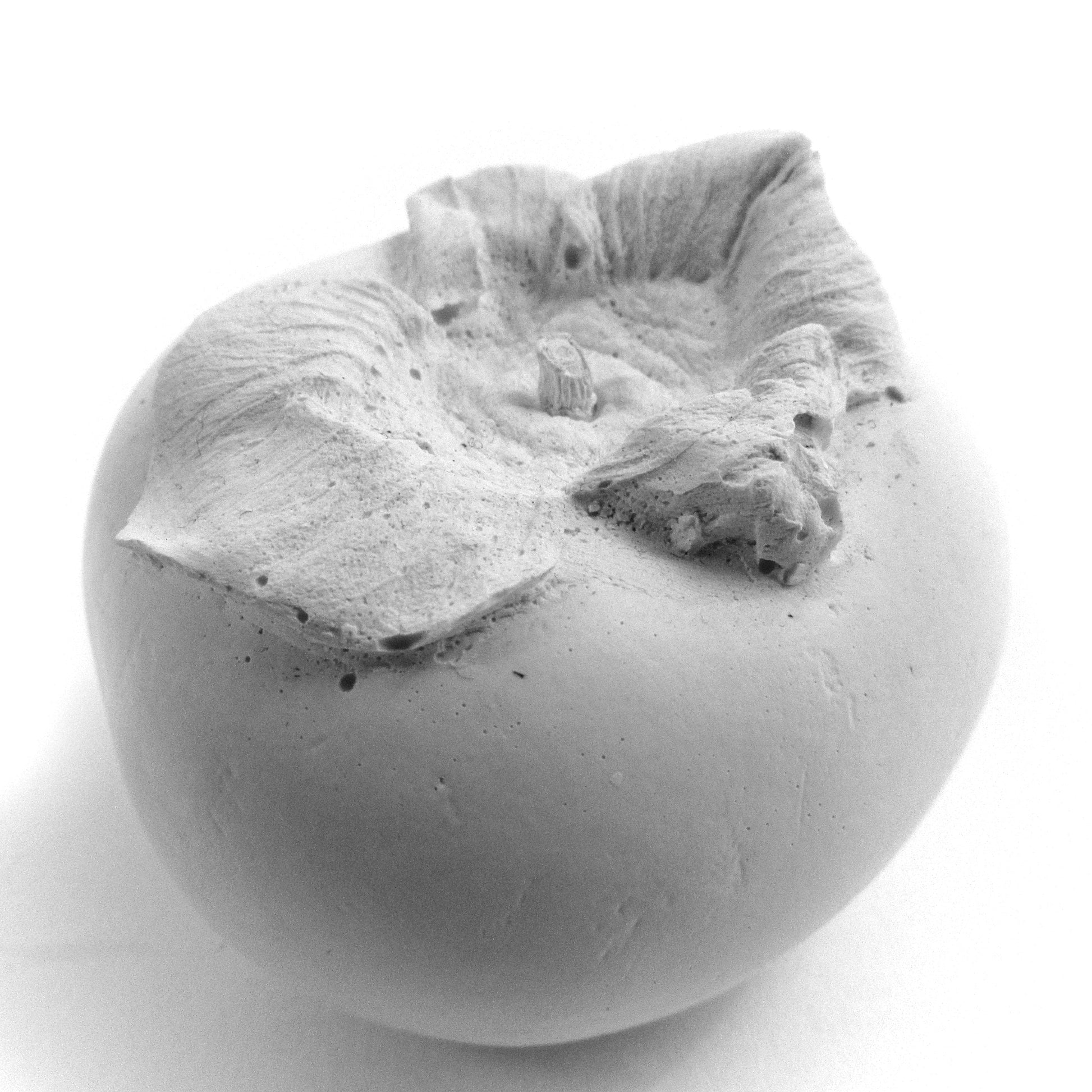 Close up of a persimmon made of plaster and fake fruit is all white