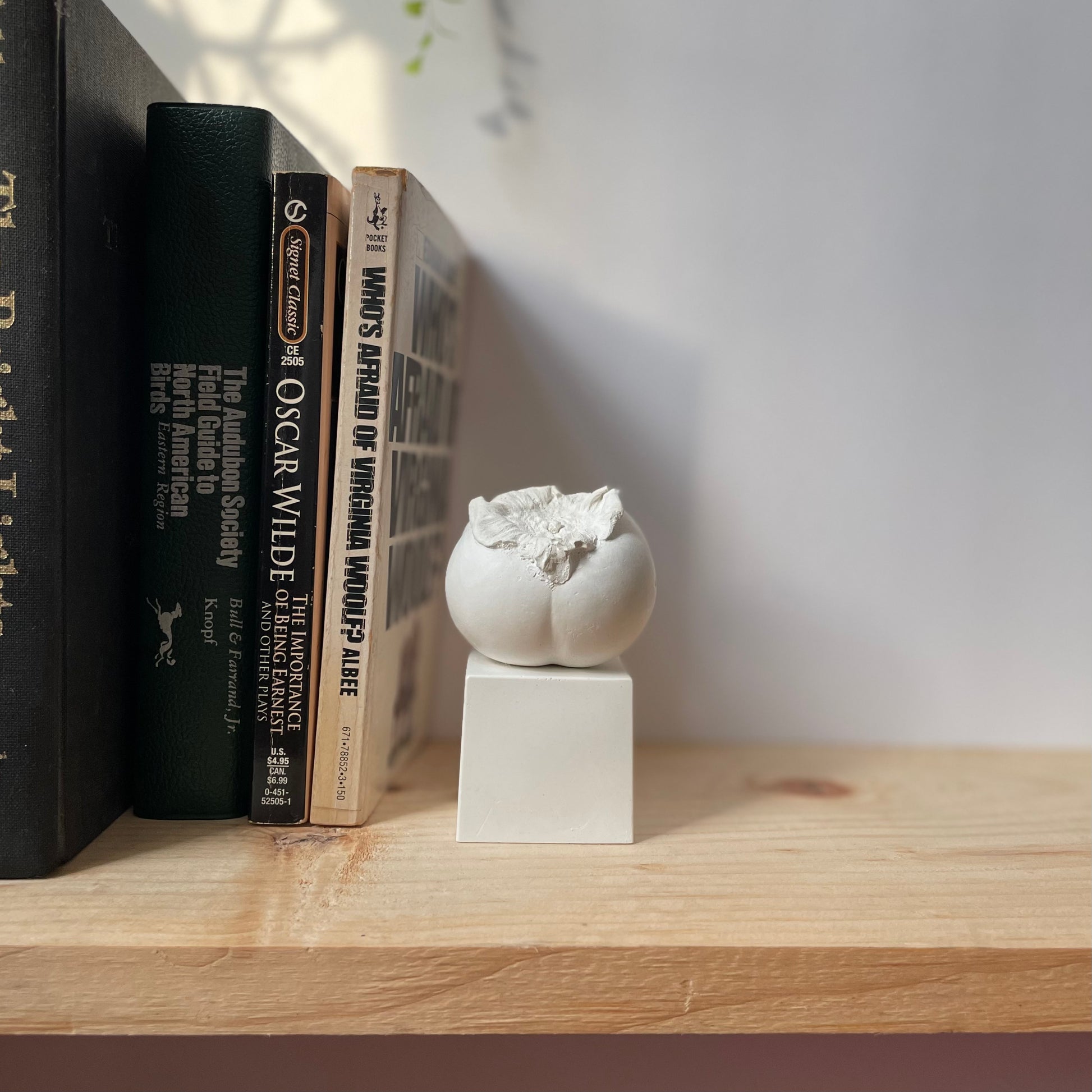 Persimmon made of plaster and fake fruit is all white. Displayed on a bookshelf with a plinth