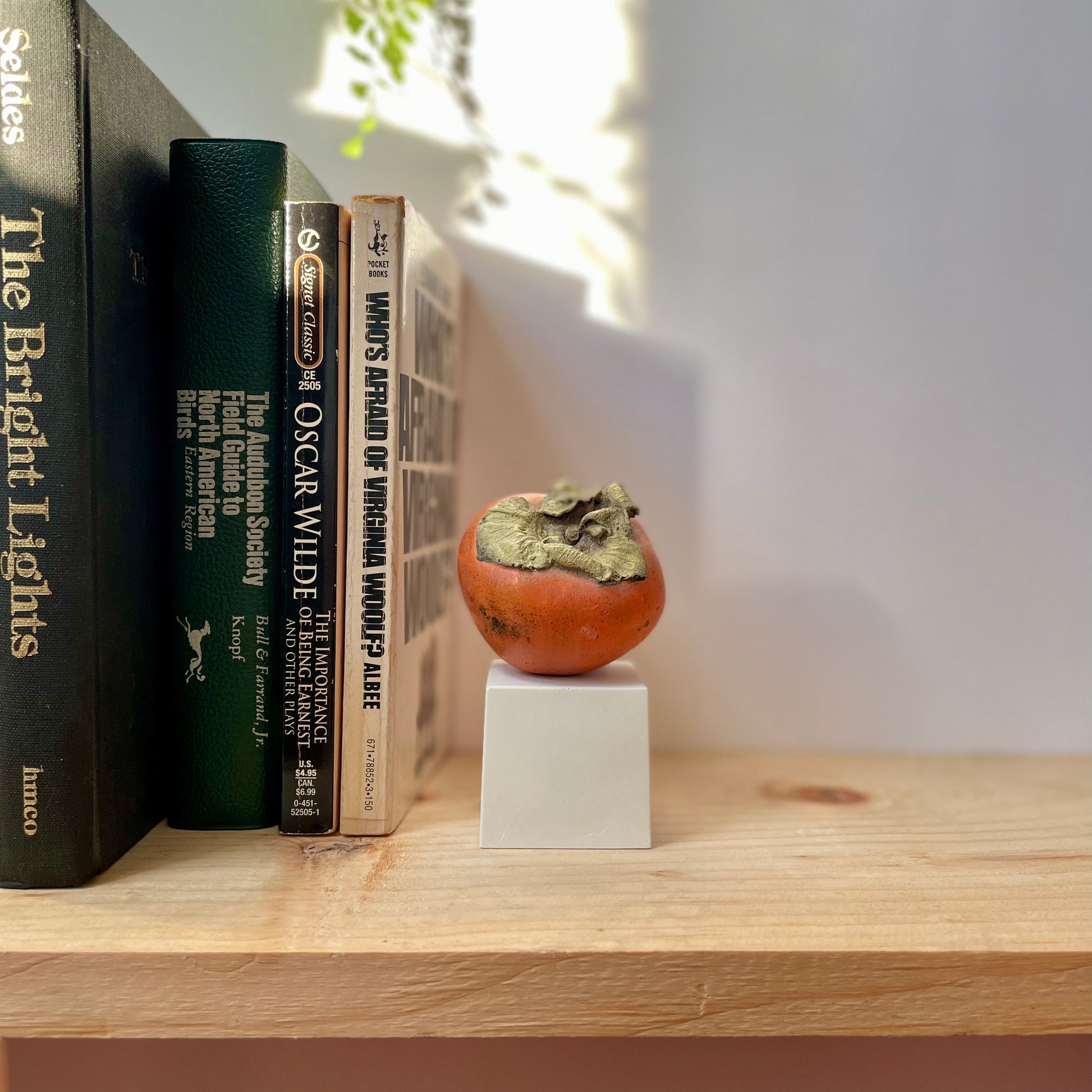 Persimmon sculpture made of plaster styled on a bookshelf