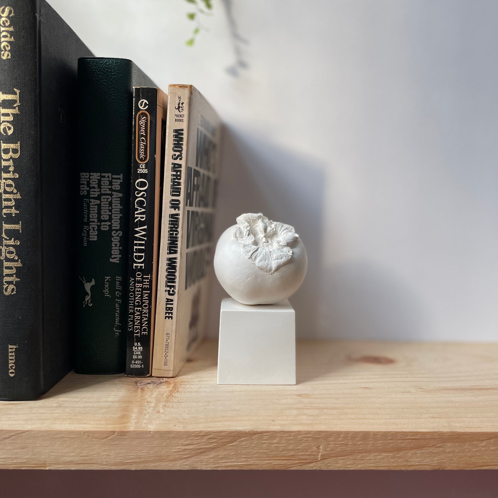 Persimmon made of plaster and fake fruit is all white for home decor and displayed on a bookshelf